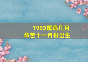 1993属鸡几月命苦十一月份出生