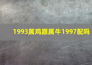 1993属鸡跟属牛1997配吗