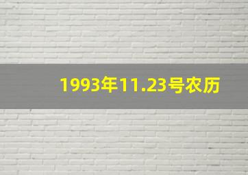 1993年11.23号农历