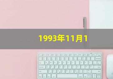 1993年11月1