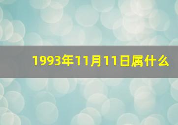 1993年11月11日属什么