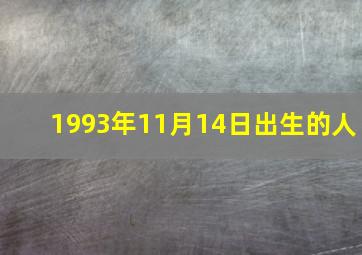 1993年11月14日出生的人