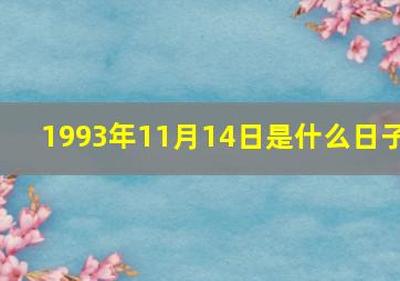 1993年11月14日是什么日子