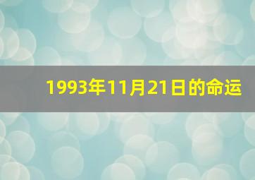 1993年11月21日的命运