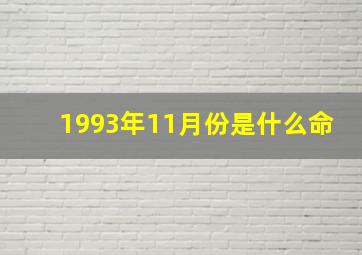 1993年11月份是什么命