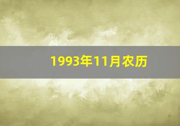 1993年11月农历