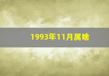 1993年11月属啥