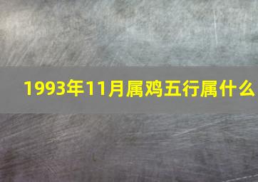 1993年11月属鸡五行属什么