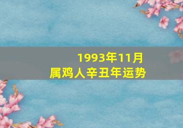 1993年11月属鸡人辛丑年运势