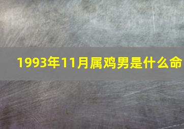 1993年11月属鸡男是什么命