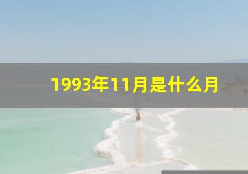 1993年11月是什么月