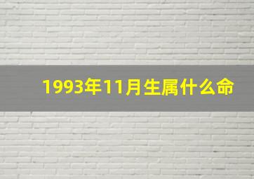 1993年11月生属什么命