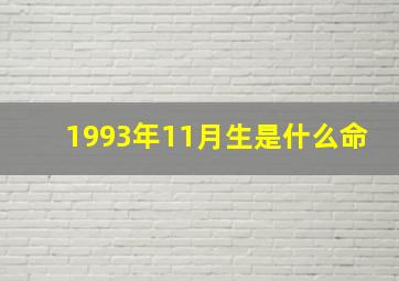 1993年11月生是什么命