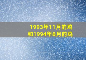 1993年11月的鸡和1994年8月的鸡