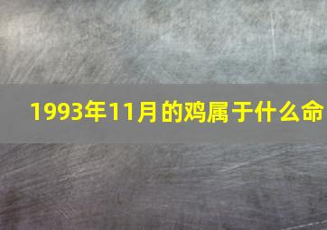 1993年11月的鸡属于什么命