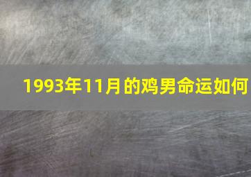 1993年11月的鸡男命运如何