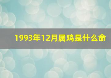 1993年12月属鸡是什么命