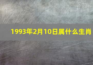 1993年2月10日属什么生肖