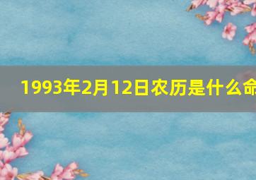 1993年2月12日农历是什么命