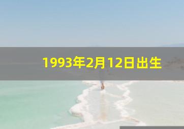 1993年2月12日出生