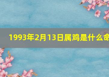 1993年2月13日属鸡是什么命