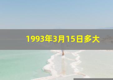 1993年3月15日多大