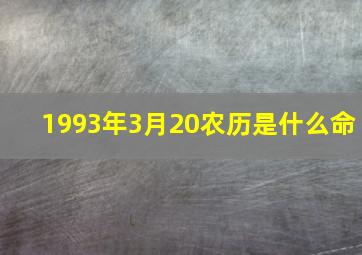 1993年3月20农历是什么命