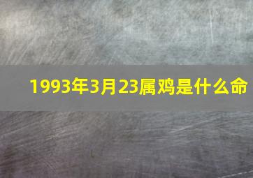 1993年3月23属鸡是什么命