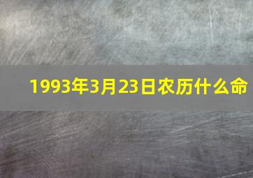 1993年3月23日农历什么命