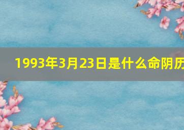 1993年3月23日是什么命阴历