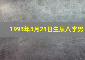 1993年3月23日生辰八字男