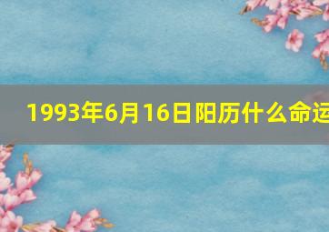 1993年6月16日阳历什么命运