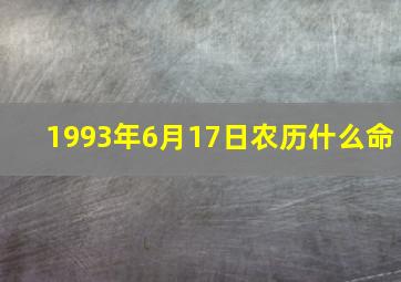 1993年6月17日农历什么命