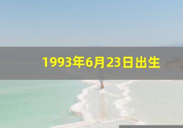 1993年6月23日出生