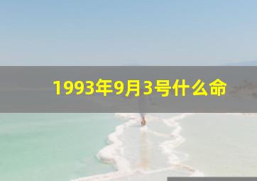 1993年9月3号什么命