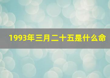 1993年三月二十五是什么命