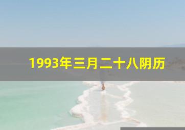 1993年三月二十八阴历