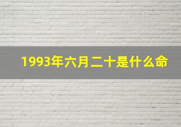 1993年六月二十是什么命