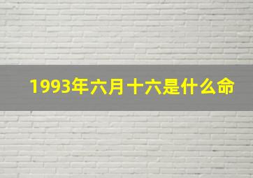 1993年六月十六是什么命