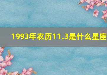 1993年农历11.3是什么星座