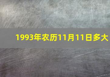 1993年农历11月11日多大