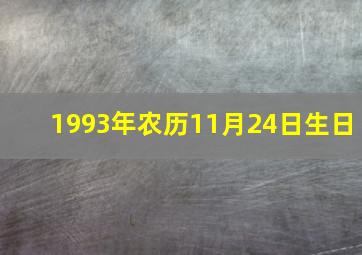 1993年农历11月24日生日