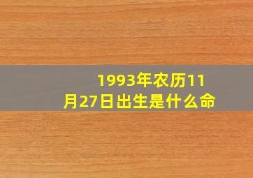 1993年农历11月27日出生是什么命