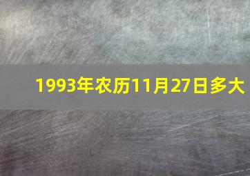 1993年农历11月27日多大