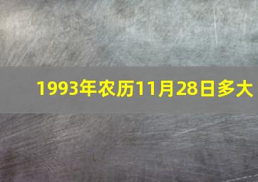 1993年农历11月28日多大