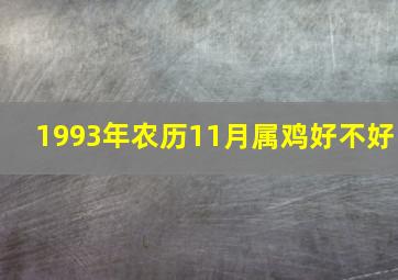 1993年农历11月属鸡好不好