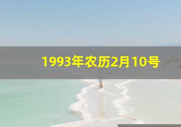 1993年农历2月10号