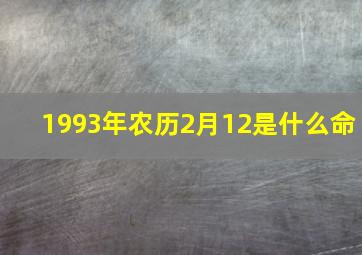 1993年农历2月12是什么命