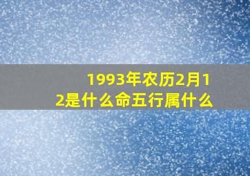 1993年农历2月12是什么命五行属什么