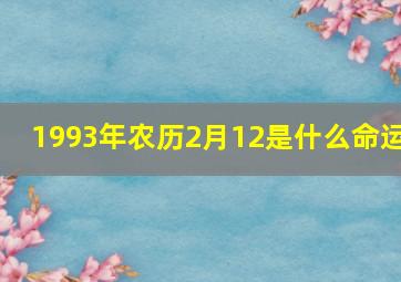 1993年农历2月12是什么命运